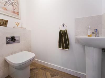 Picture 11